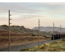 Walthers Cornerstone 4173 Intermediate Height Utility Poles (Wood) Pkg(12) -- Kit - Each 6-1/4" 17.5cm; 45 Scale Feet Tall