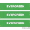 Walthers HO 18250 40' Fully Corrugated Container - 3-Pack - Evergreen -Walthers Sales walthers ho 18250 40 fully corrugated container 3 pack evergreen freight loads containers 131