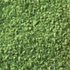 Walthers SceneMaster 1207 Leaves Ground Cover -- Medium Green -Walthers Sales walthers scenemaster 1207 leaves ground cover medium green flock turf 112