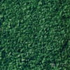 Walthers Scenemaster HO 1208 Leaves Ground Cover -- Dark Green